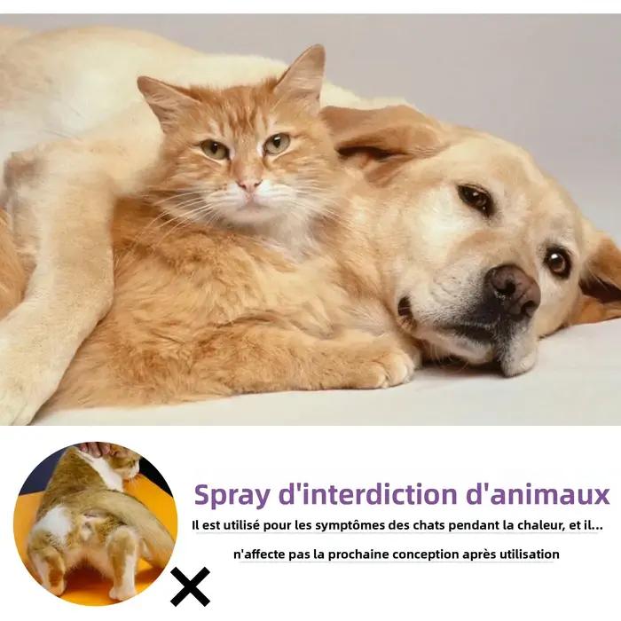 Diffuseur de phéromone en Spray apaisant pour animaux de compagnie
