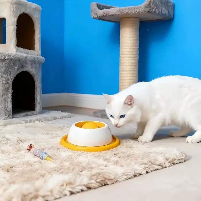 Accessoires d'alimentation pour animaux de compagnie