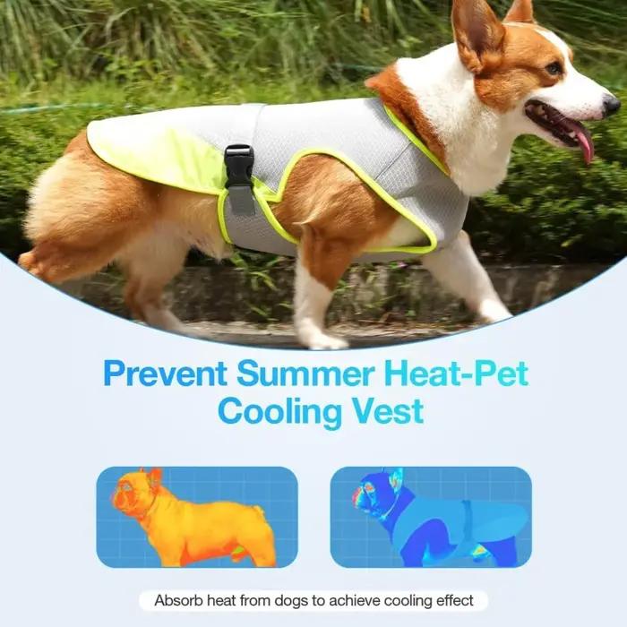 Gilet rafraîchissant pour chien
