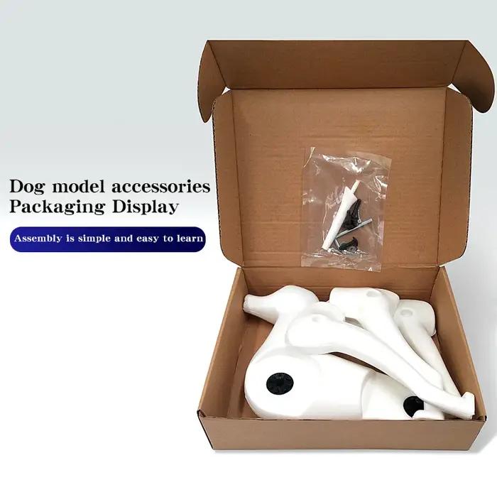 Modèle de chien squelette intégral standard pour toilettage d'animaux, simulation de beauté et d'entraînement pour coiffeurs canins
