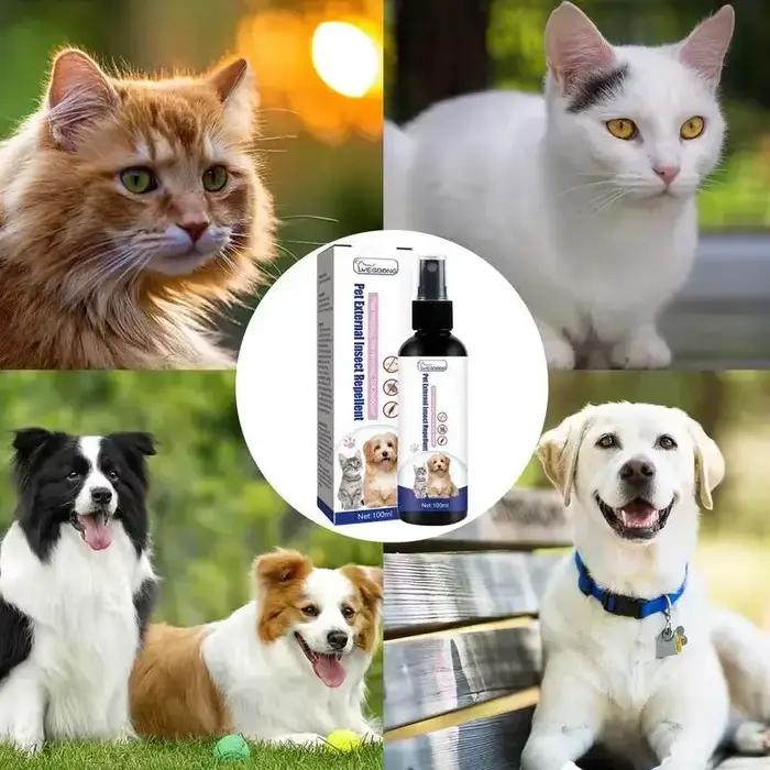 Spray anti-tiques naturel pour chiens chats animaux domestiques protection externe peau saine hygiène soins animaux de compagnie
