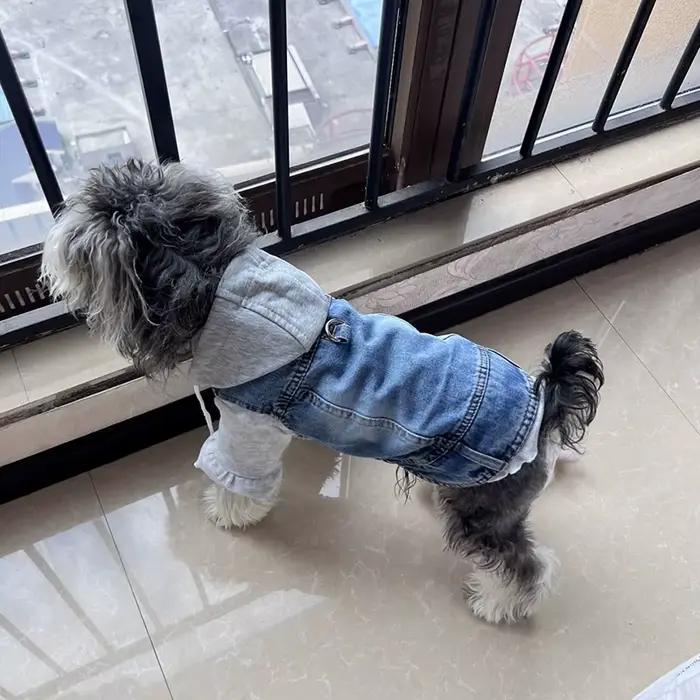 Veste en jean pour chien avec anneaux en D et capuche