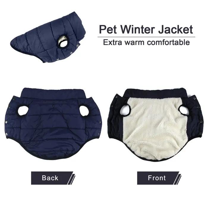 Vêtements d'hiver pour chiens