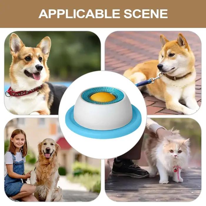 Jouet pour chien, accessoires d'alimentation pour animaux de compagnie