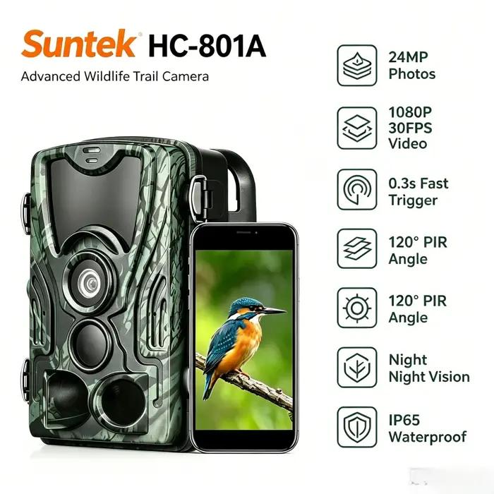 Caméra de chasse 20MP 1080P avec vision nocturne, étanche IP65, piège photo HC801A, surveillance de
