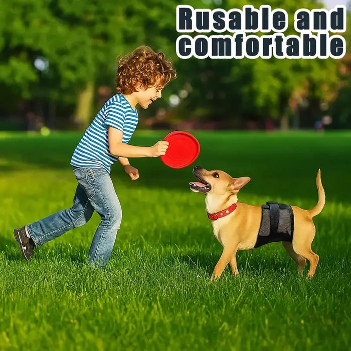 Culotte de sécurité anti-harcelement pour chien mâle en période d'œstrus