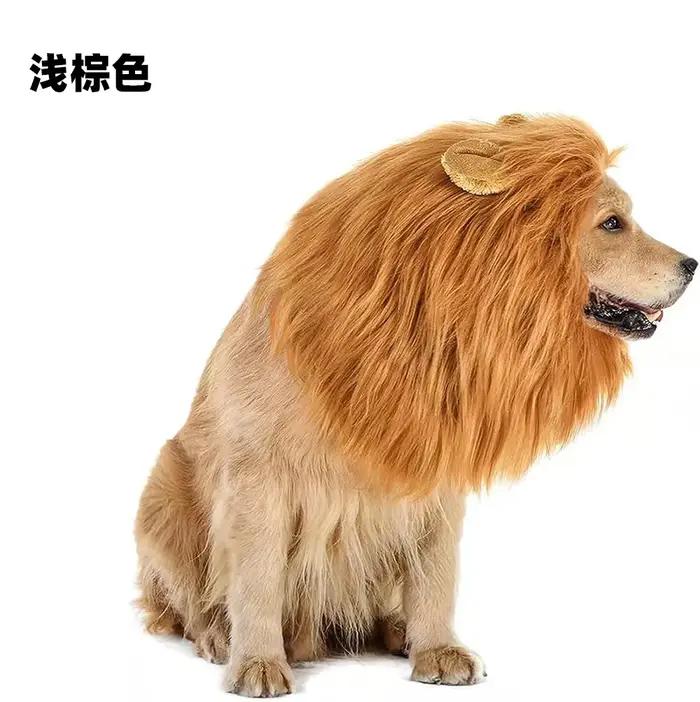 Chapeau de lion amusant pour chiens, costume mignon pour animaux de compagnie avec oreilles, accesso