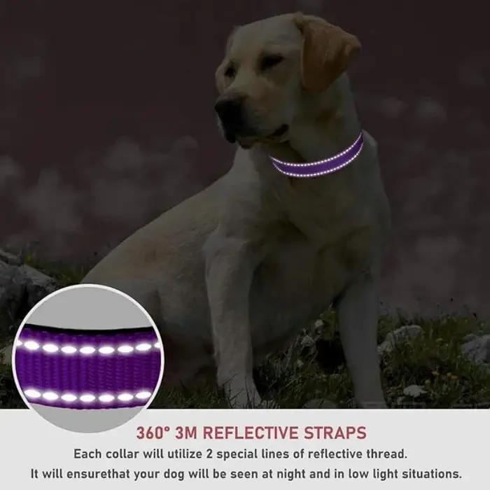 Collier pour animaux de compagnie