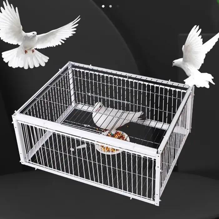 Piège automatique Cage à oiseaux