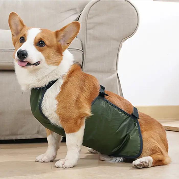 Protecteur de ventre de grand chien