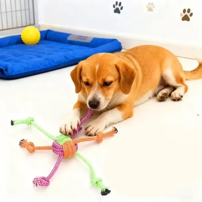 Jouet interactif durable résistant aux morsures pour chiens - Corde à mâcher avec franges vertes et orange
