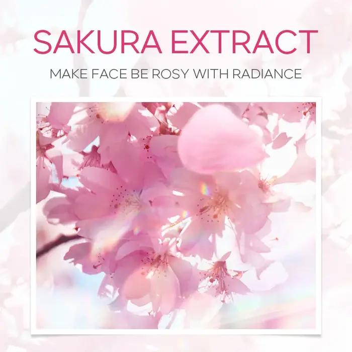 Sakura nettoyant pour le visage coréen sérum pour le visage exfoliant Peeling Gel hydrater Toner crè
