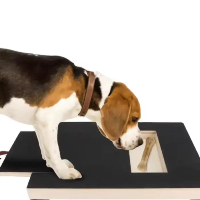 Grattoir en bois pour chiens avec boîte à friandises intégrée