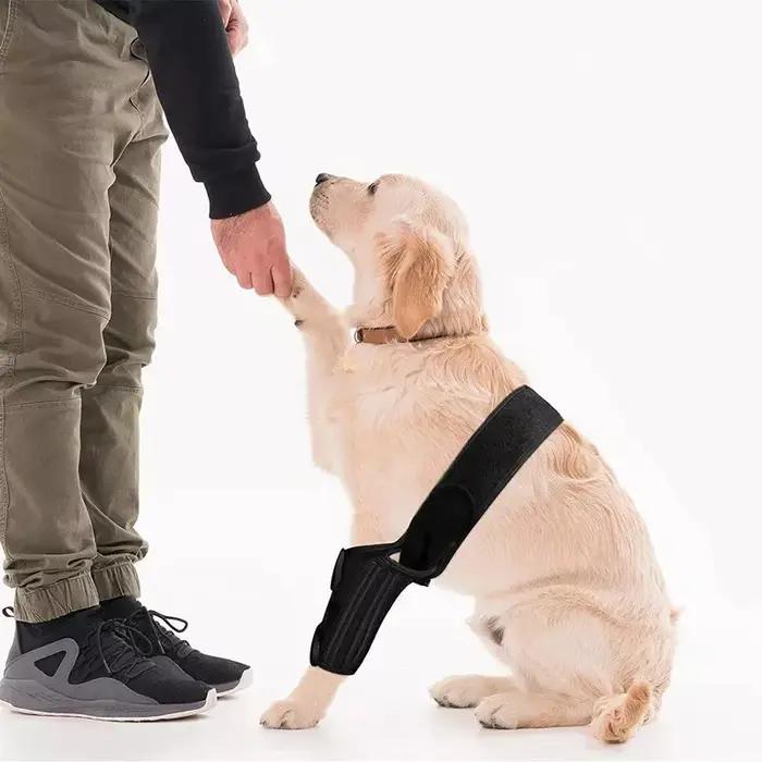 Attelle de Soutien Ajustable pour Hanches et Jambes de Chien avec Support en Acier et Bande en Caoutchouc Chloroprène
