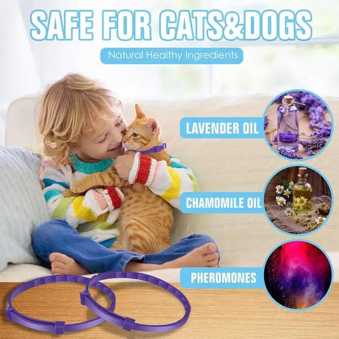 Collier apaisant réglable pour chiens et chats soulageant l'anxiété et réduisant le stress pour tous les âges occasions spéciales et quotidiennes