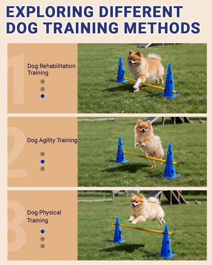 Kit d'entraînement d'agilité pour animaux de compagnie
