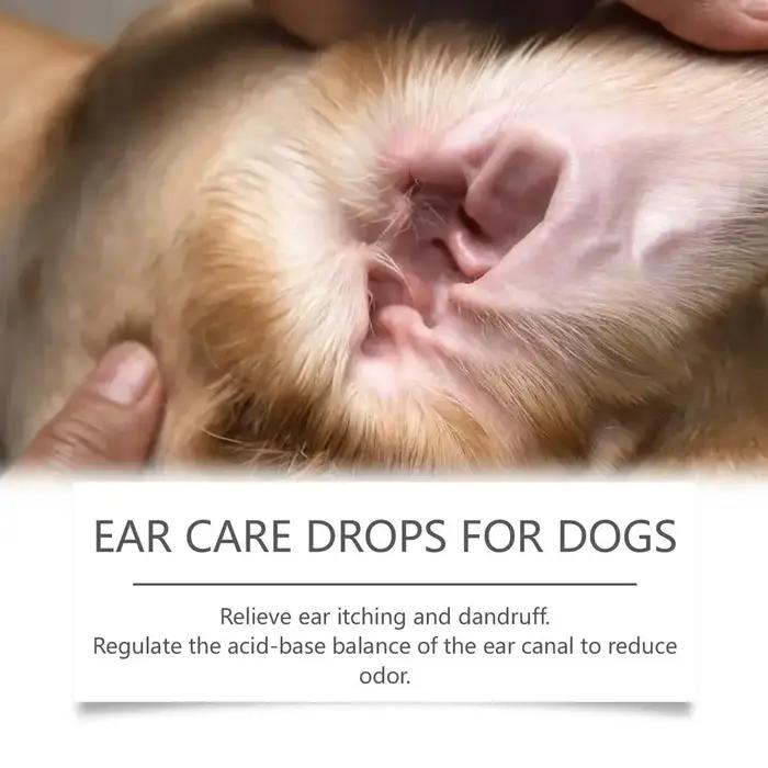 Solution nettoyante pour les oreilles des chiens contre les infections à levures