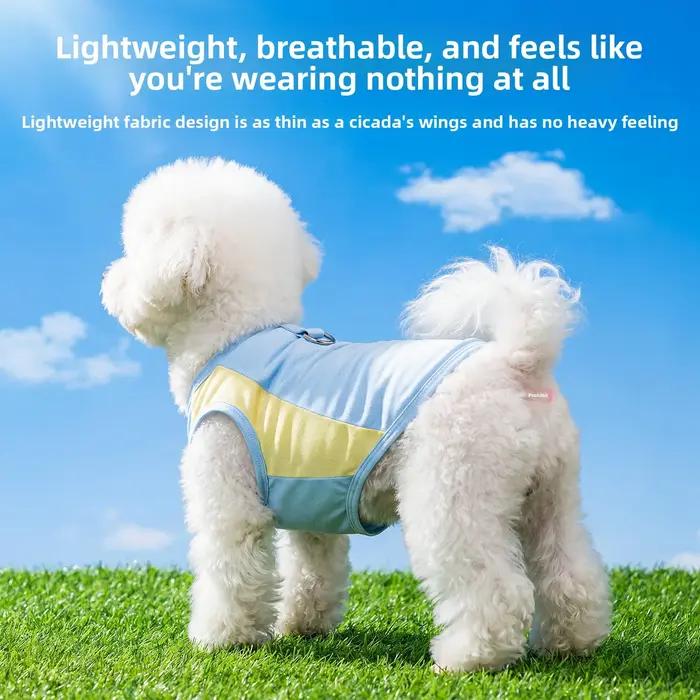 Gilet rafraîchissant pour chien - protection solaire estivale