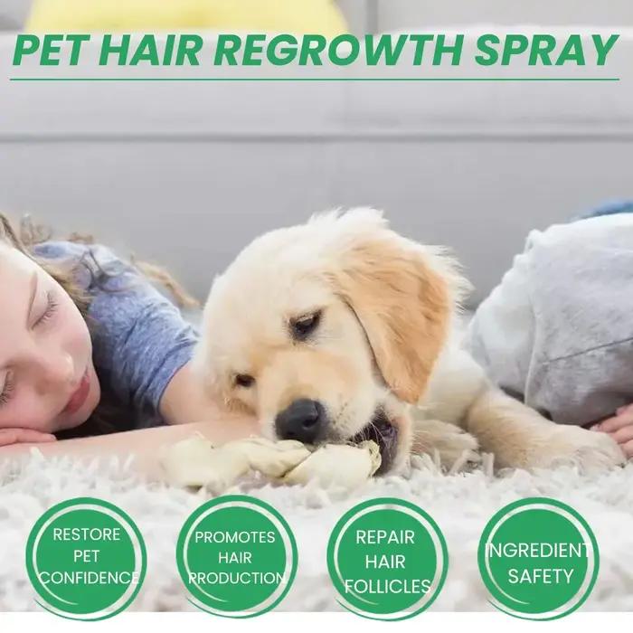Compléments alimentaires pour la perte de poils chez les chiens et les chats, ingrédients non toxiques et sûrs, à utiliser sur le corps, favorise la croissance des poils