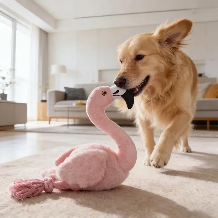 Jouets en peluche pour chat et chien