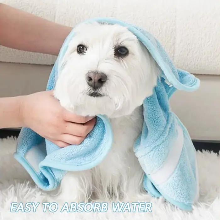 Peignoir mignon pour chiens