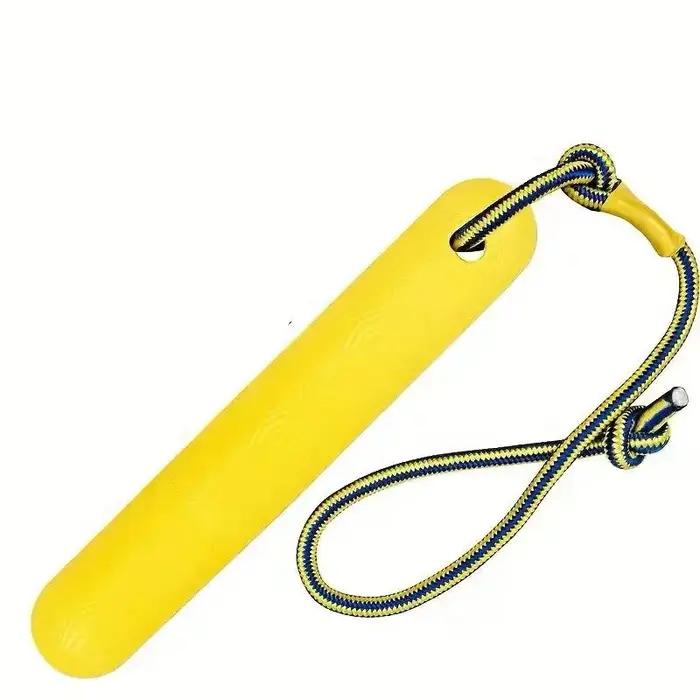 Jouet flottant pour chien de 24 cm avec corde de lancer, jouets de récupération aquatique pour chiot