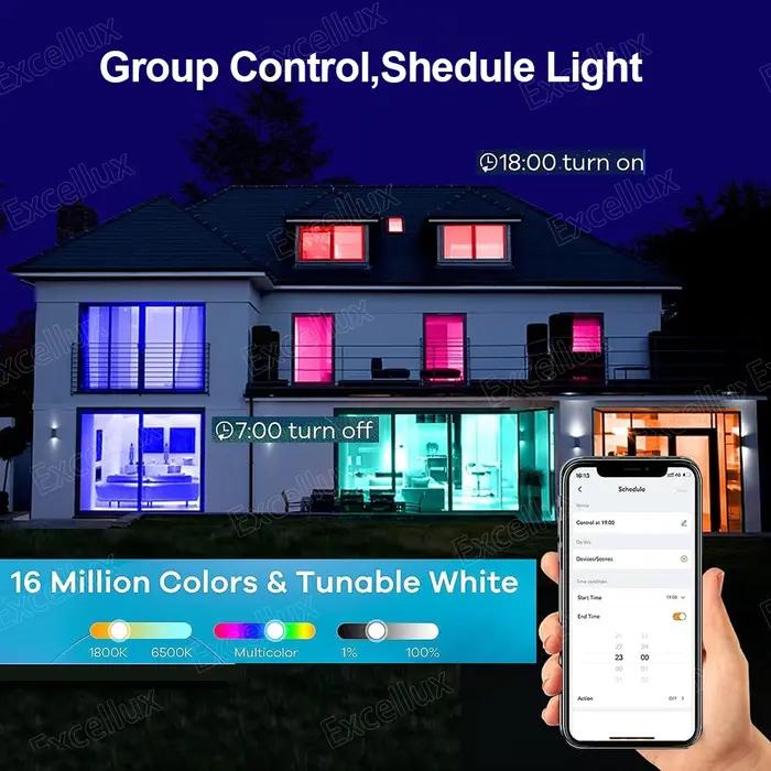 Tuya E27 lampe à LED App contrôle Bluetooth/WiFi ampoule LED 15W RGB CW WW ampoule intelligente fonc