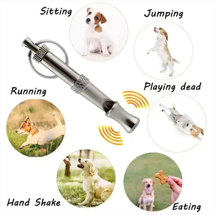 Sifflet d'entraînement ultrasonique pour flûte de chien