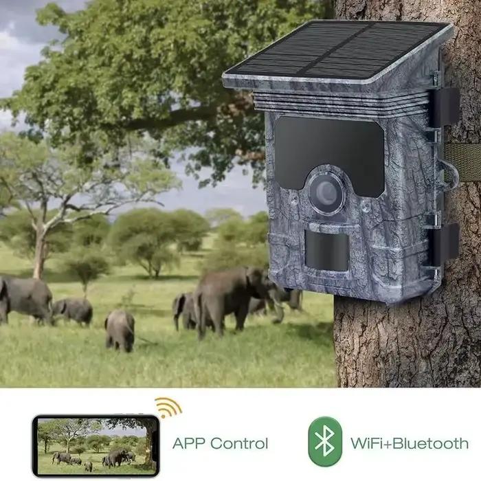 Caméra de chasse 4K WiFi panneau solaire alimentée vision nocturne étanche IP66 pour observation de la faune et chasse nocturne