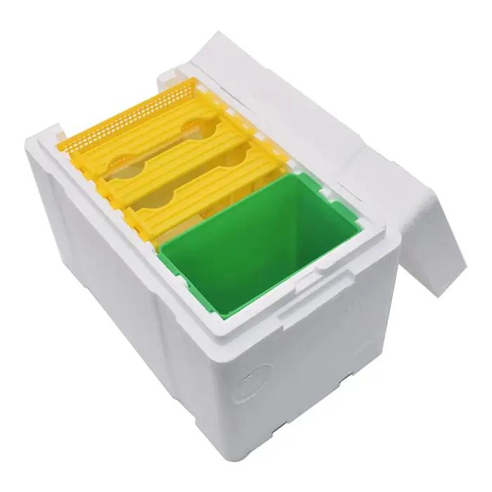 Boîte d'élevage des abeilles reine, boîte d'accouplement des abeilles, boîte de ruche en mousse pour