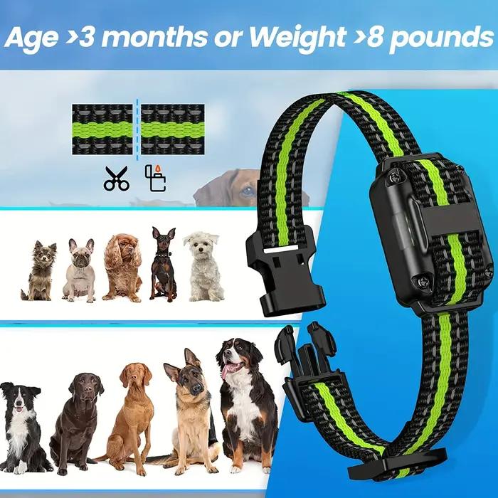 Collier anti-choc pour chien avec télécommande