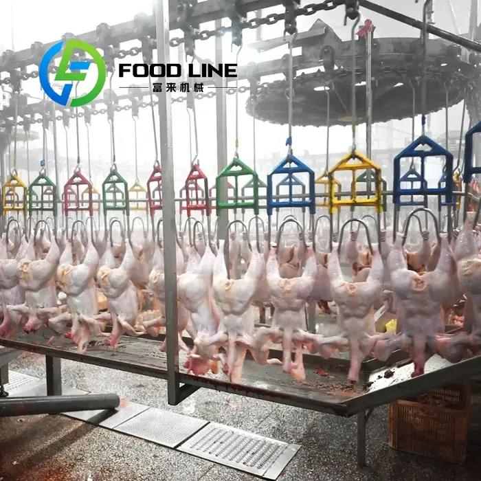Équipement d'abattage de volaille de haute qualité 300-1000 ligne de production réglable pour poulets, canards et oies