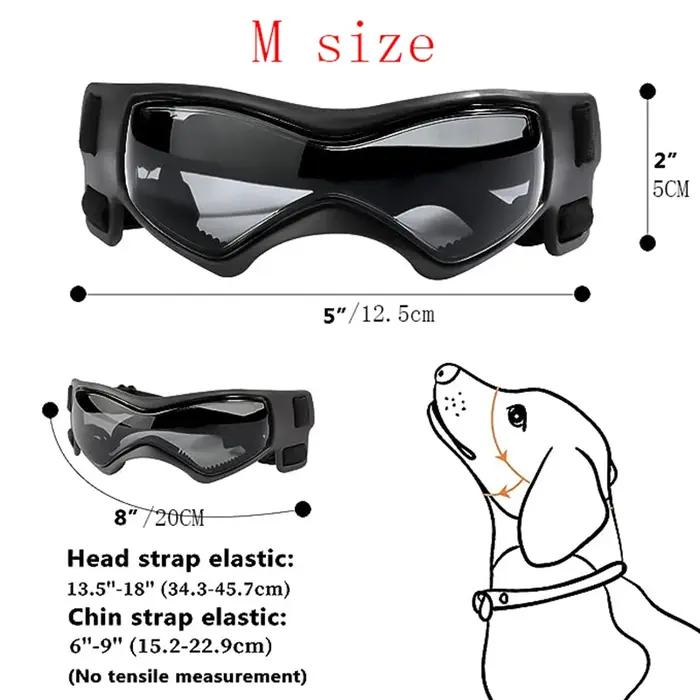 Lunettes de soleil pour chien