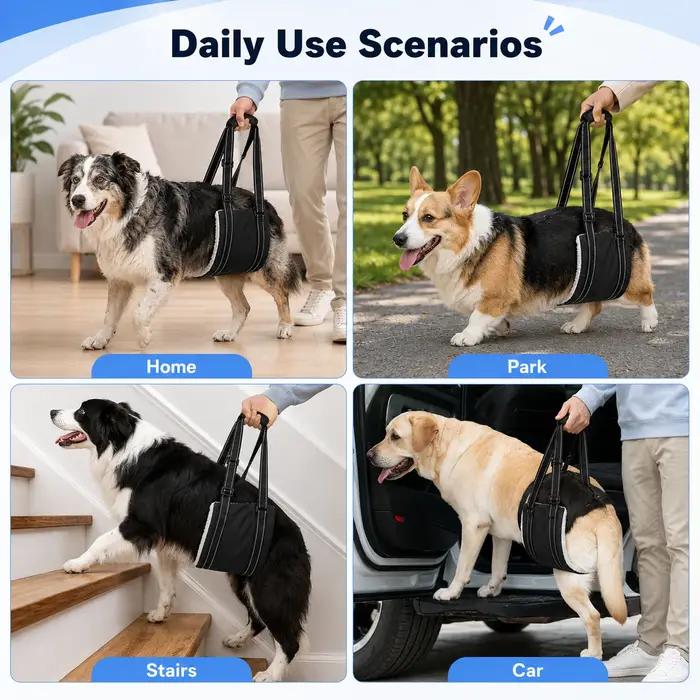 Harnais de levage réglable pour chiens support de pattes arrière aide à la mobilité pour chiens âgés assistance confortable pour chiens avec problèmes de pattes arrière