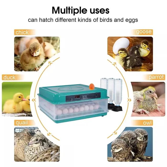 Incubateur d'oeufs 30 places avec rotation automatique et affichage de jour pour éleveurs de poulets canards et cailles occasions familiales et éducatives