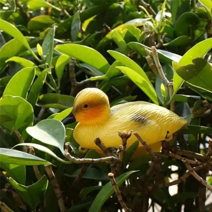 Canards Flottants Mignons en Plastique Educatif pour Jardin, Étang, Piscine et Chasse Occasions Spéciales