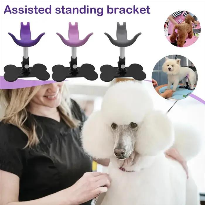 Tabouret de toilettage pour chiens
