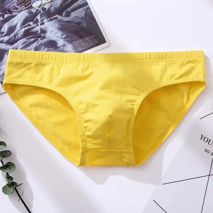Sous-vêtements sexy en coton pour hommes, slips solides, culottes pour adultes, pantalons de bikini