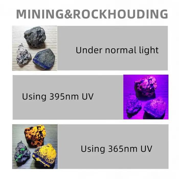 365nm UV lumière noire Rechargeable lampe de poche UV torche ultraviolette chien Urine animal de com