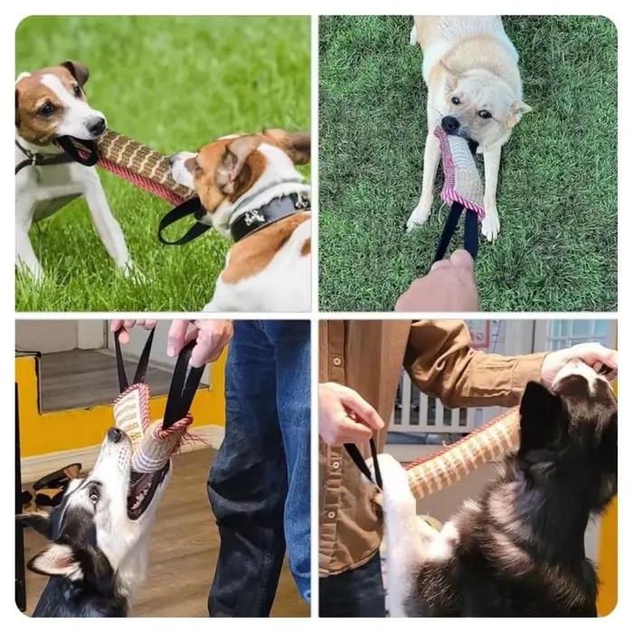 Jouets d'entraînement pour chiens