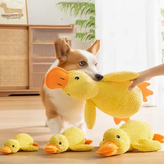 Hot-dog dormant avec des jouets de canard pour soulager l'ennui du petit