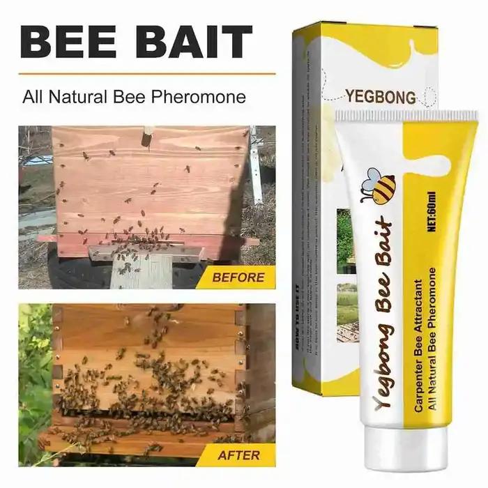 Appât pour abeilles, piège à miel pour l'apiculture