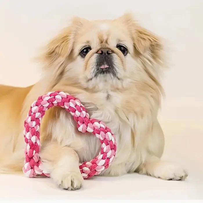Jouet à mâcher pour chien en forme de cœur