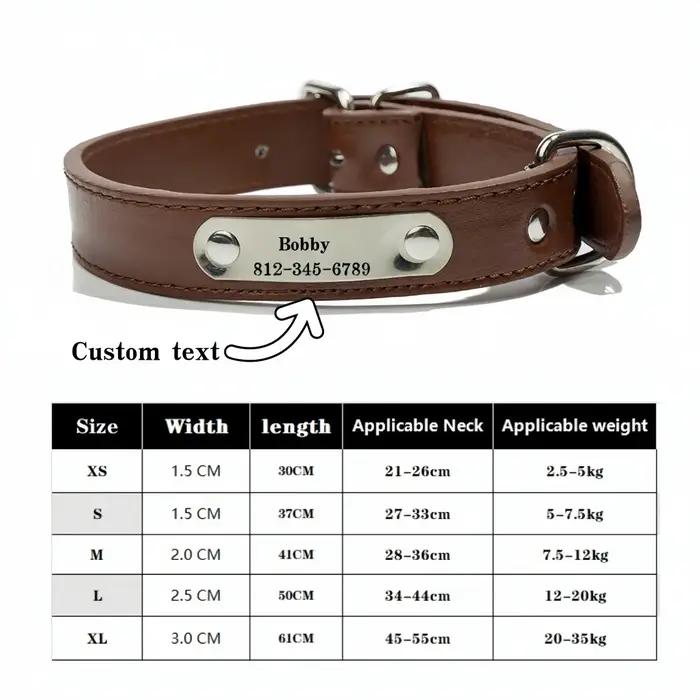 Collier de chien sculpté avec nom personnalisé, étiquette d'identification, Anti-perte, solide, en c