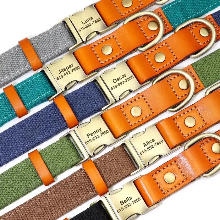 Collier en nylon avec nom personnalisé pour grand chien