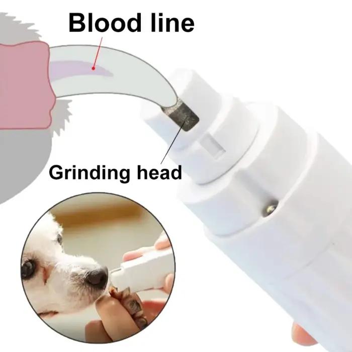Coupe-ongles électrique pour chien avec lumière LED