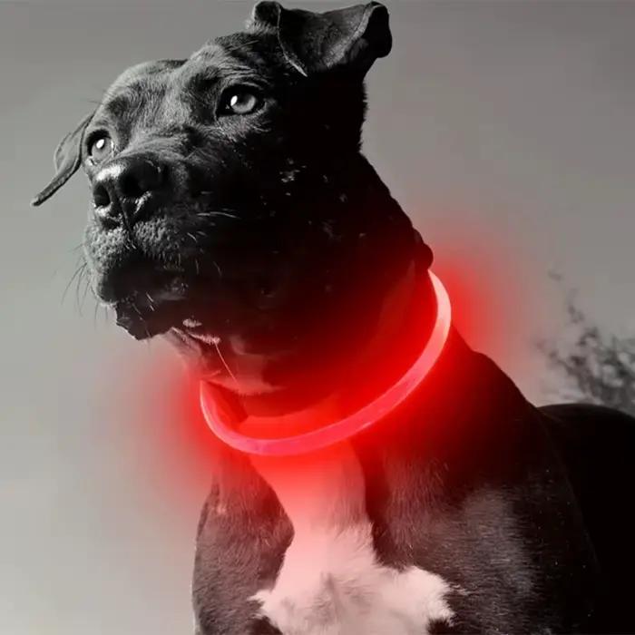 Collier lumineux LED pour chien et chat brillant anti-perte chargeur USB veilleuse pour animaux de compagnie sécurité promenades nocturnes