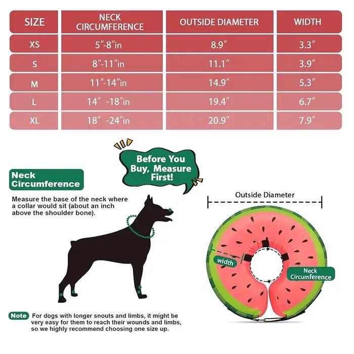Collier gonflable anti-morsure pour chien
