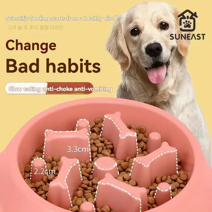 Bol de nourriture pour animaux de compagnie, respectueux de l'environnement