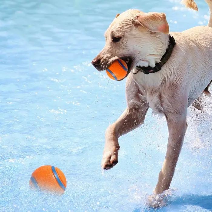 Balle de chien indestructible caoutchouc pour mâchage agressif jouets à mâcher pour chiens durables et sécuritaires occasions spéciales et quotidienne